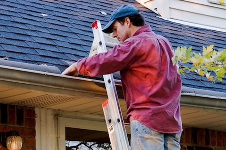 Reasons Why Gutter Cleaning is Essential